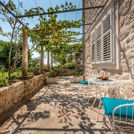 Apartment Old Garden Ντουμπρόβνικ Εξωτερικό φωτογραφία